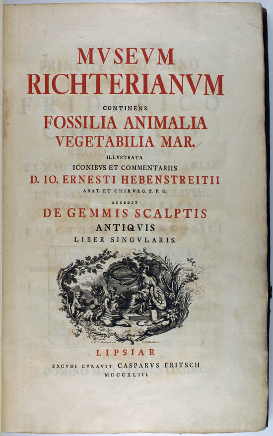 Hebenstreit, Johann Ernst (1743)