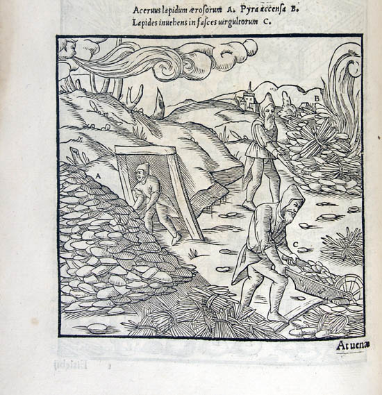 Agricola, Georgius (1556)