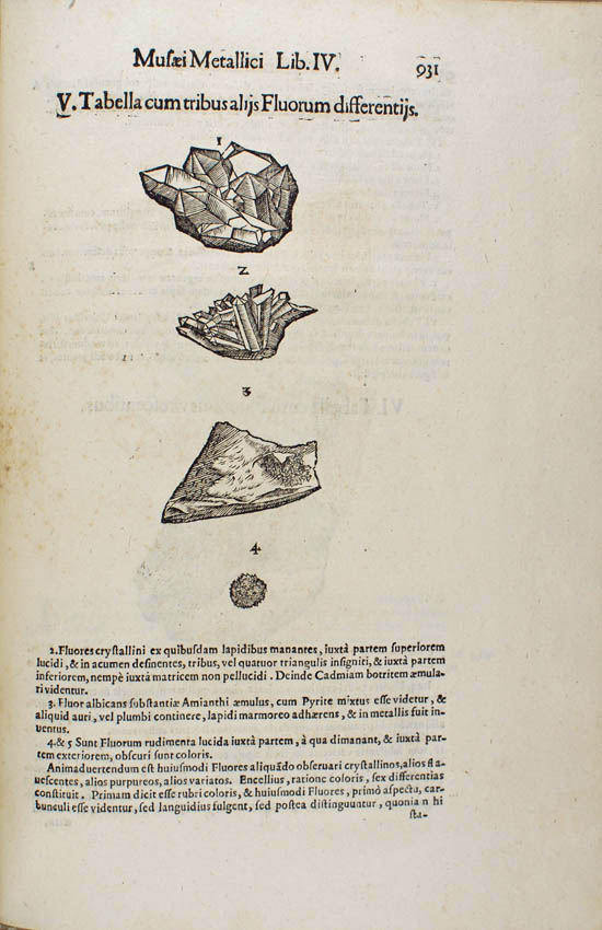 Aldrovandi, Ulyssis (1648)