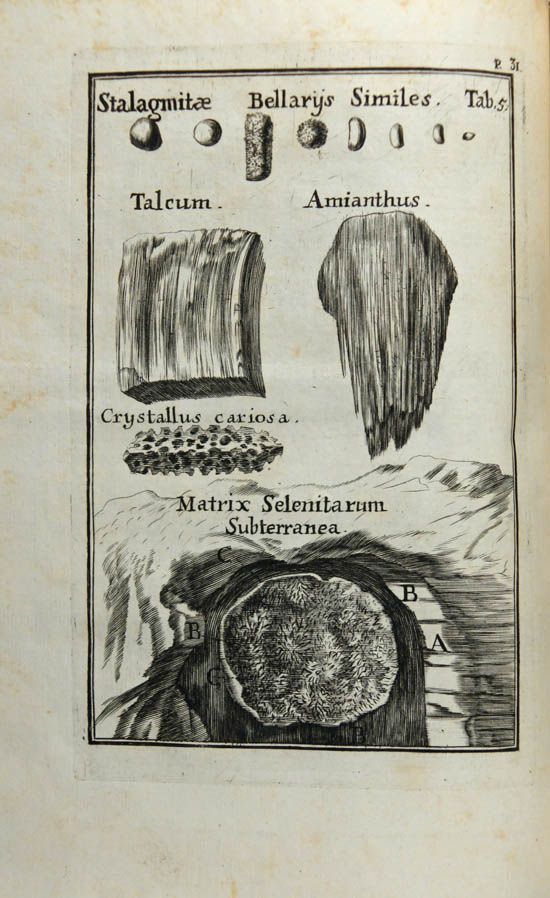 Lang, Carl Nicolaus (1708)