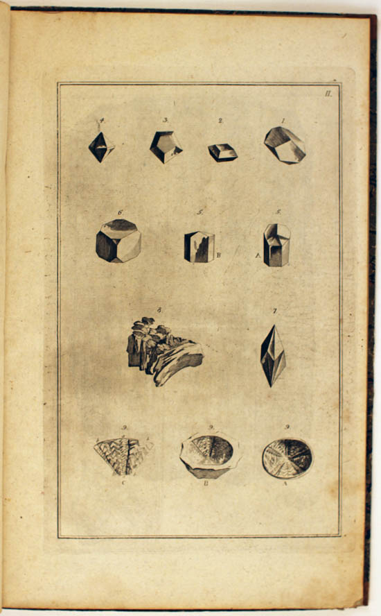 Linnaeus, Carl (1753) Museum Tessinianum