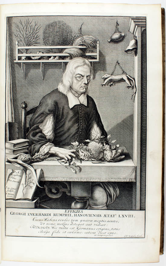 Rumphius (Rumpf), Georg Eberhard (1705)