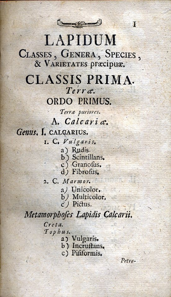 Scopoli, Giovanni Antonio (1772)