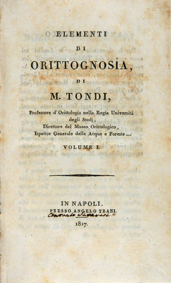 Tondi, Matteo (1817-1823)